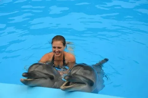 book dolphin show hurghada tickets - happy family watching dolphins