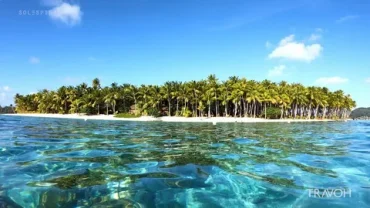 Private paradise island trip