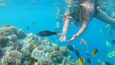 Private snorkeling boat Hurghada