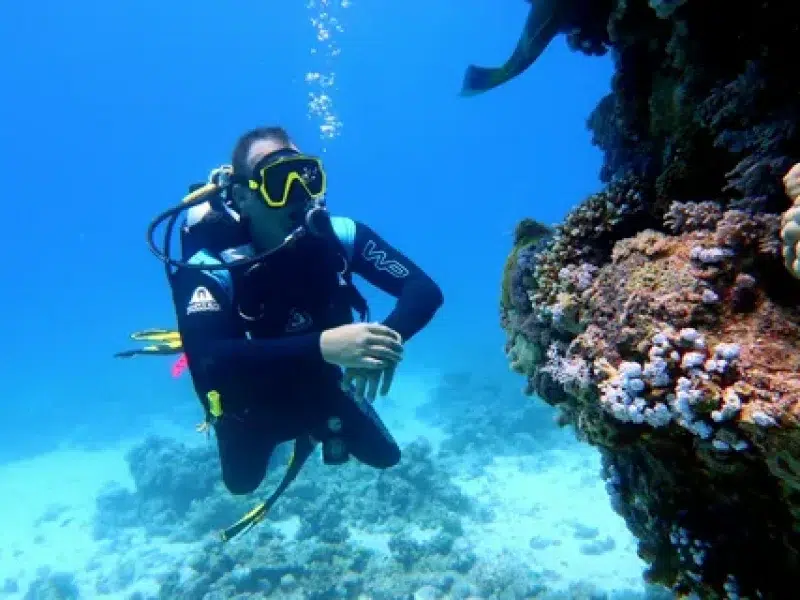 Professional Diving Tour Hurghada Center