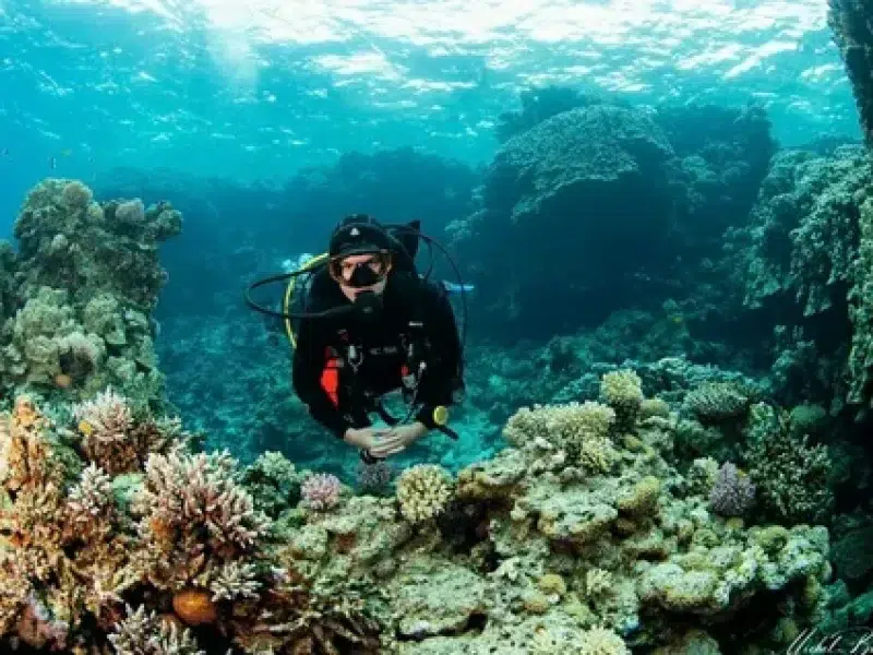 Professional Diving Tour Hurghada Center