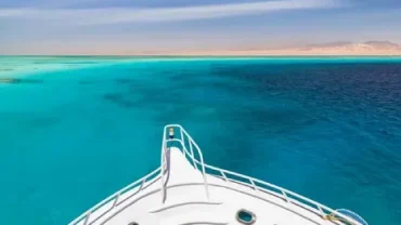 Red Sea Private Tours Egypt