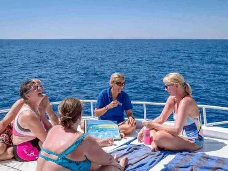 Red Sea Private Tours Egypt