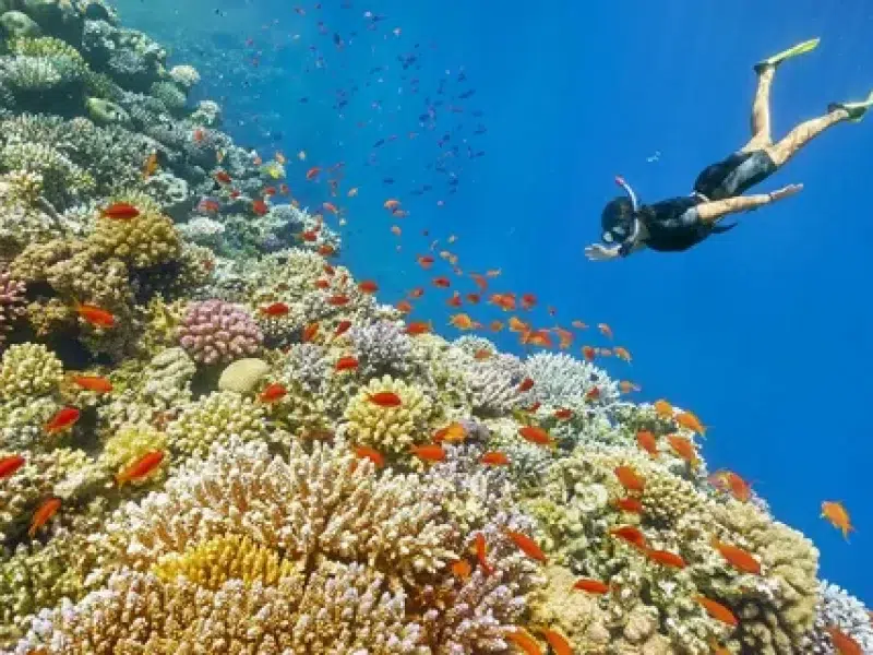 Red Sea Private Tours Egypt