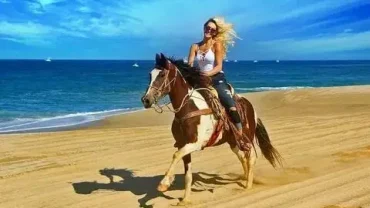 Romantic Horse Riding Hurghada Experience