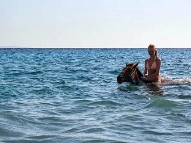 Romantic Horse Riding Hurghada Experience