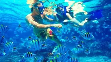 best mahmya island snorkeling hurghada