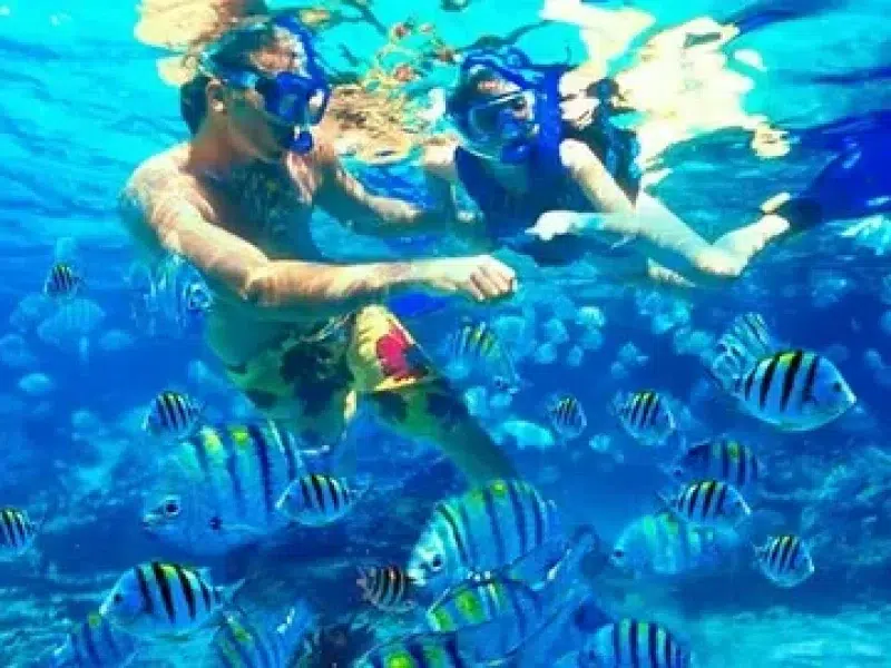 best mahmya island snorkeling hurghada