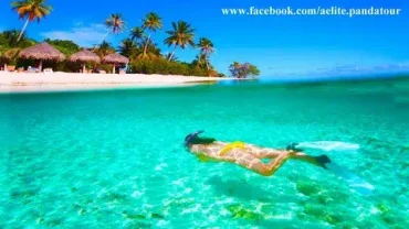 Snorkeling paradise island