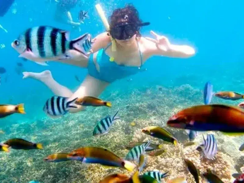 Snorkeling paradise island
