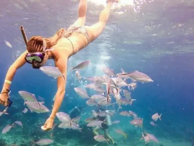 Snorkeling paradise island