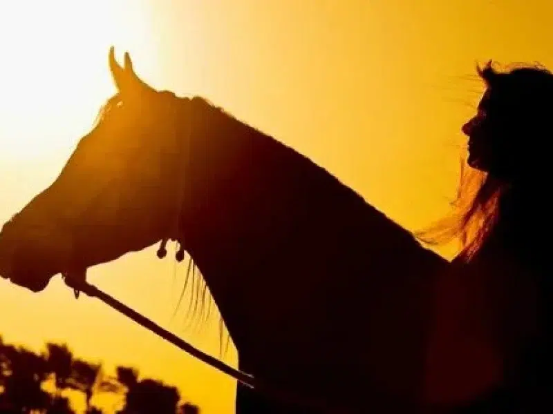 Sunset Horse Riding Hurghada