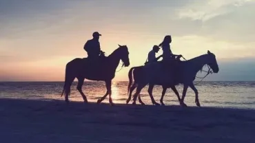 Sunset Horse Riding Hurghada