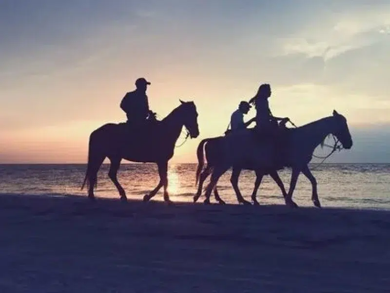 Sunset Horse Riding Hurghada