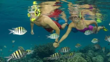 utopia island combination package