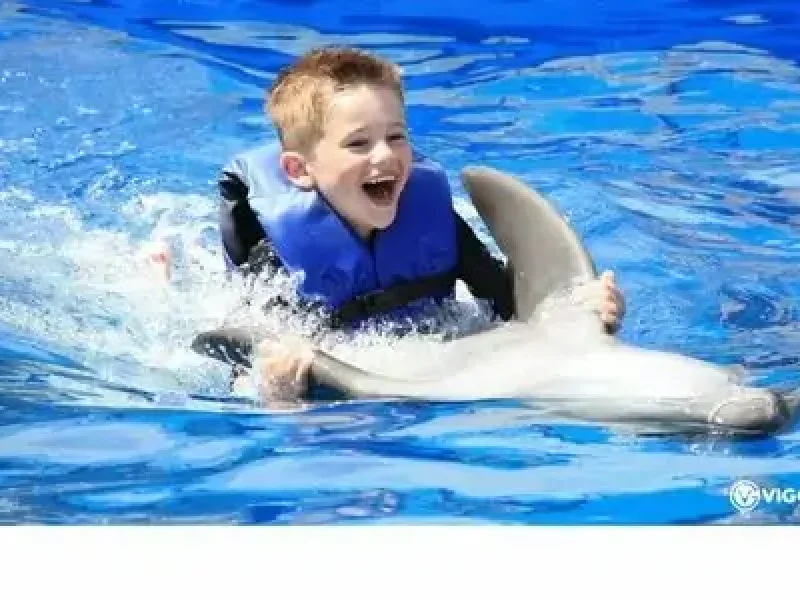 Kids Dolphin Show Hurghada Reservation