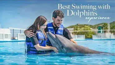 dolphin circus show hurghada family trip