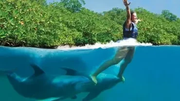 dolphin entertainment show hurghada egypt