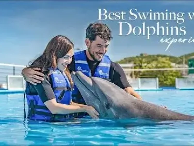 Best Dolphin Performance Hurghada Booking