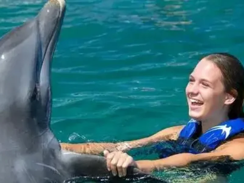 Best Dolphin Performance Hurghada Booking