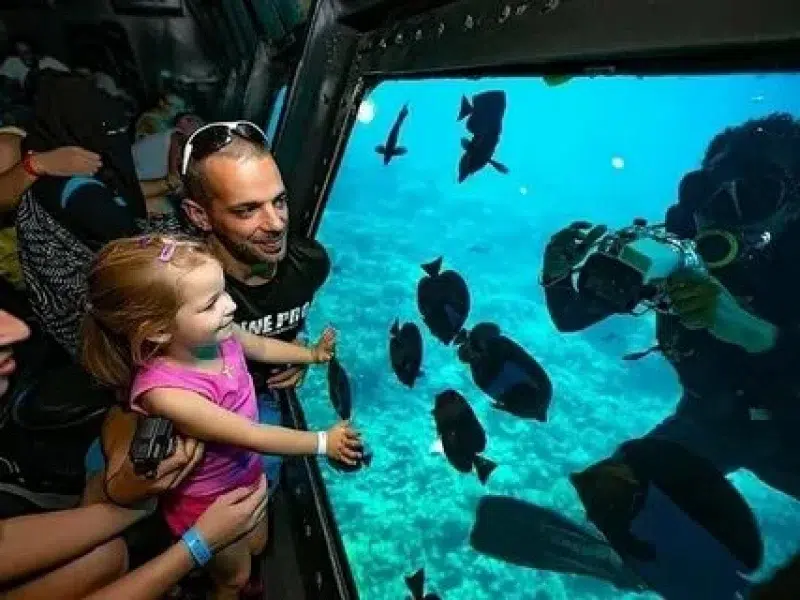 Underwater Viewing Boat Hurghada Trip