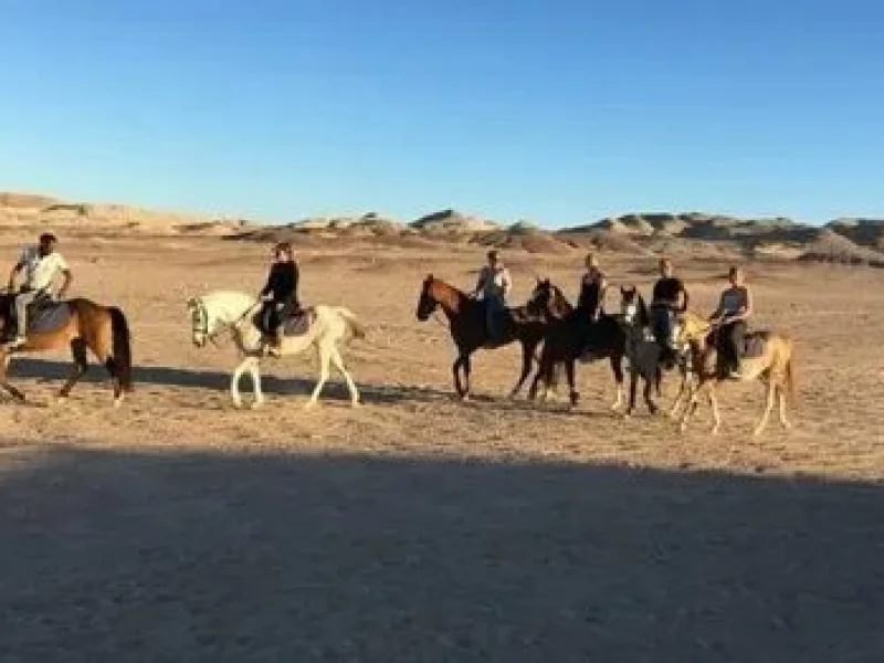 best horse riding safari

