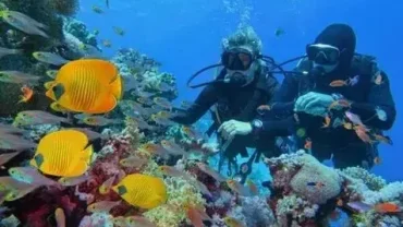 book diving tour hurghada red sea