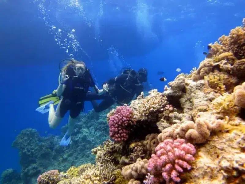 book diving tour hurghada red sea