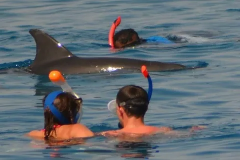 Snorkeling trips Hurghada