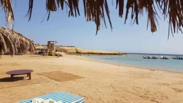 Sharm El Naga Marine Life Snorkeling Booking