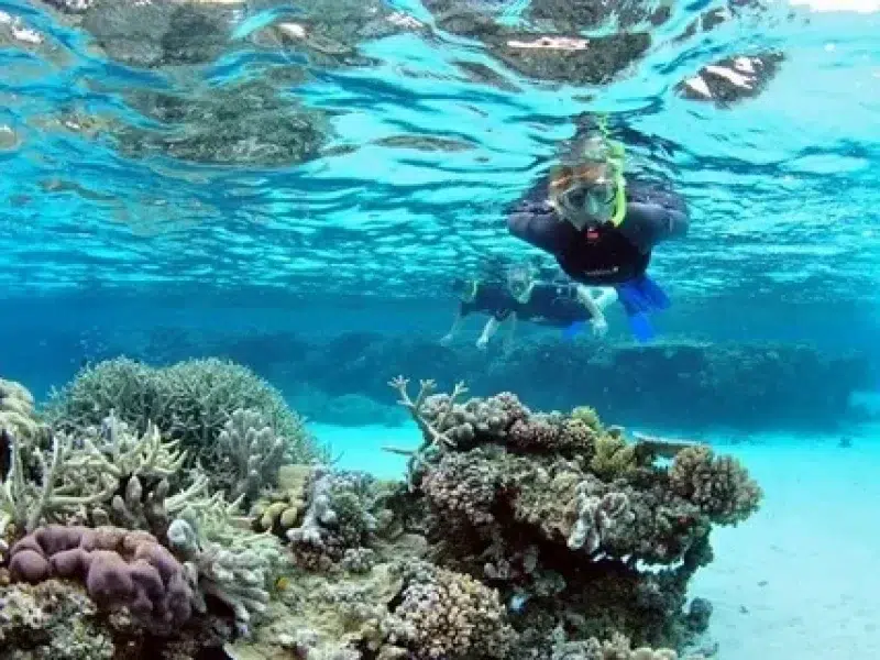 cheap diving trip hurghada coral reef