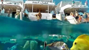 cheap fishing trip Hurghada package
