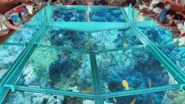 Sea Scope Hurghada Red Sea Reefs Tour