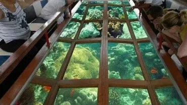 cheap glass boat hurghada red sea