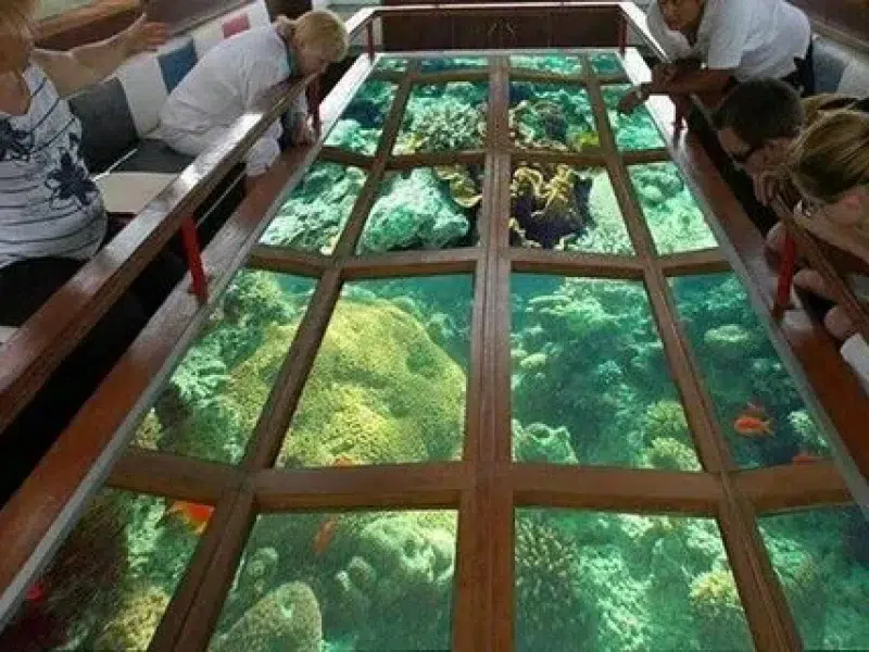 cheap glass boat hurghada red sea