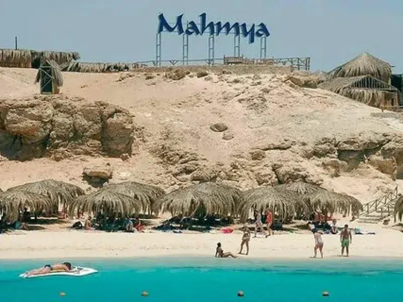 mahmya island snorkeling trip booking: 7 Powerful Tips