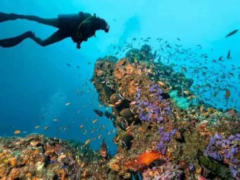 diving course hurghada certification tour