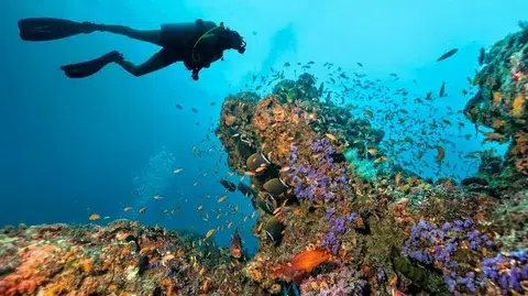 Hurghada Holiday Excursions