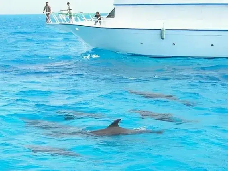 Hurghada Private Boat Rental