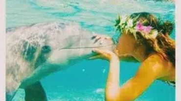 Dolphin house snorkeling trip