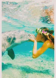 Dolphin house snorkeling trip