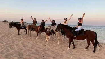 family horse riding hurghada beginner friendly