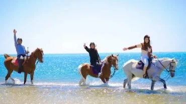 guided horse riding desert hurghada trip