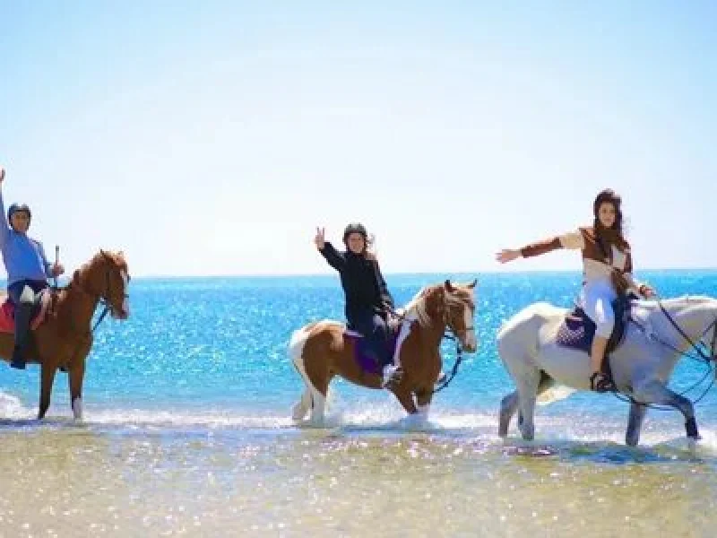 family horse riding hurghada beginner friendly