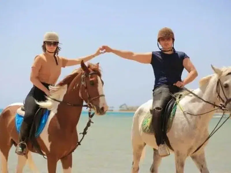 horse riding at sunset hurghada tour