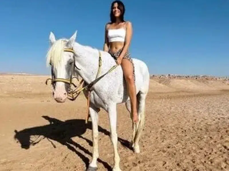 family horse riding hurghada beginner friendly