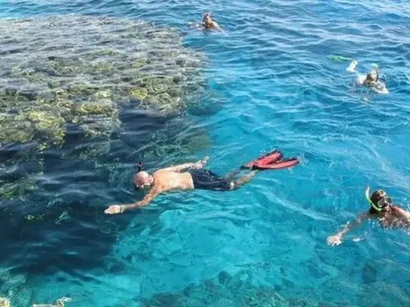 underwater reef tour sharm el naga egypt