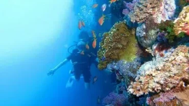 family snorkeling sharm el naga hurghada