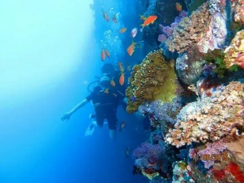 family snorkeling sharm el naga hurghada
