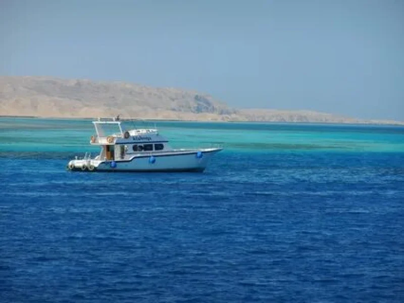 fishing trip hurghada boat
